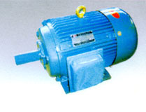 Y系列三相异步电动机